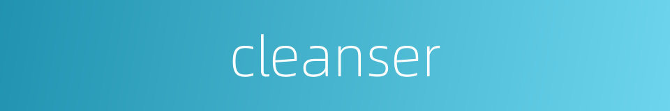 cleanser的同义词