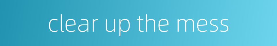 clear up the mess的同义词