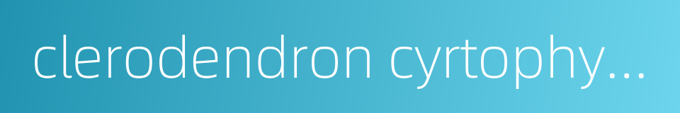 clerodendron cyrtophyllum turcz的同义词