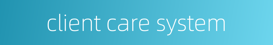 client care system的同义词