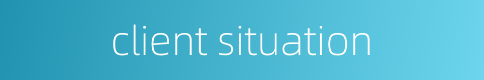 client situation的同义词
