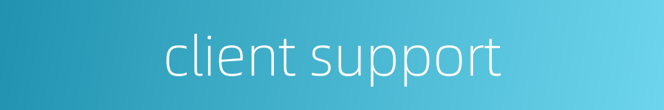 client support的同义词