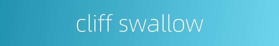 cliff swallow的同义词
