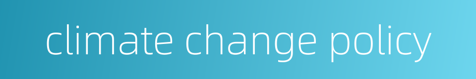 climate change policy的同义词