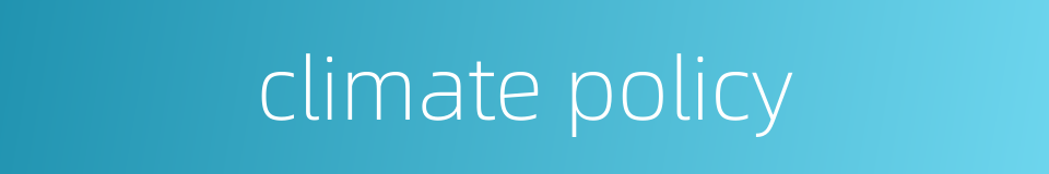 climate policy的同义词