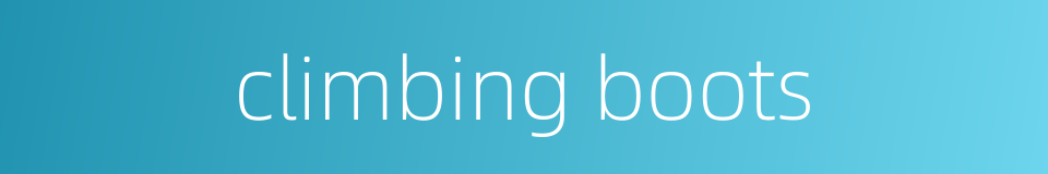 climbing boots的同义词