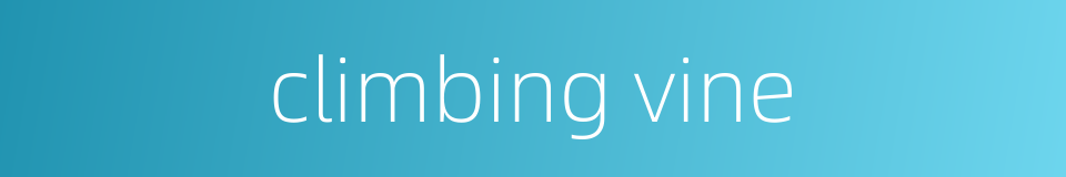 climbing vine的同义词