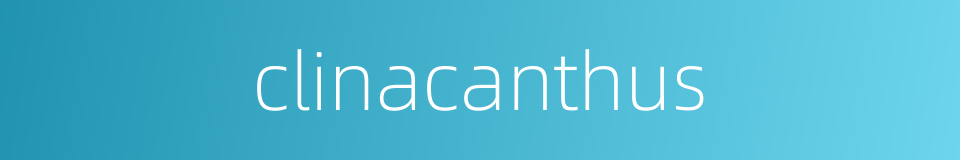 clinacanthus的同义词
