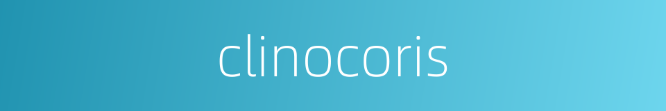 clinocoris的同义词
