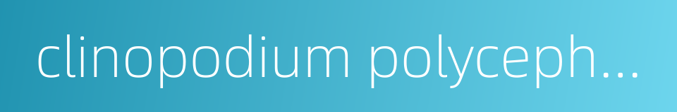 clinopodium polycephalum的同义词