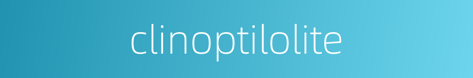 clinoptilolite的同义词