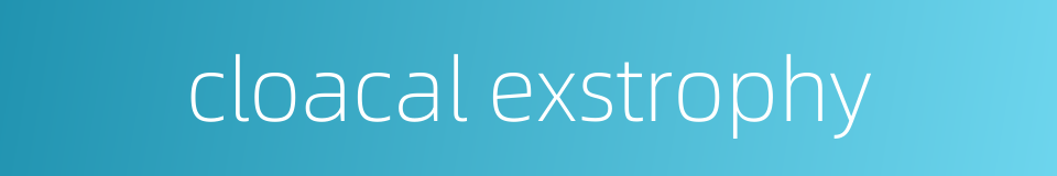 cloacal exstrophy的同义词