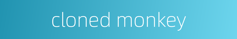 cloned monkey的同义词