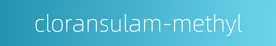 cloransulam-methyl的同义词