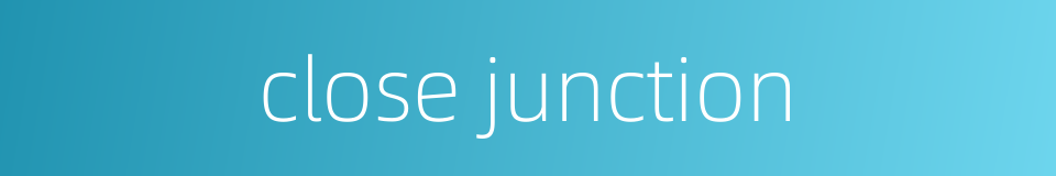 close junction的同义词