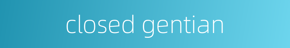 closed gentian的同义词