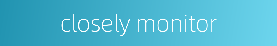 closely monitor的同义词
