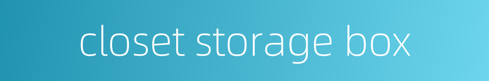 closet storage box的同义词