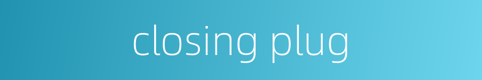 closing plug的同义词