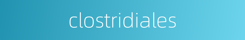 clostridiales的同义词
