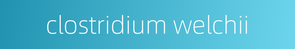 clostridium welchii的同义词