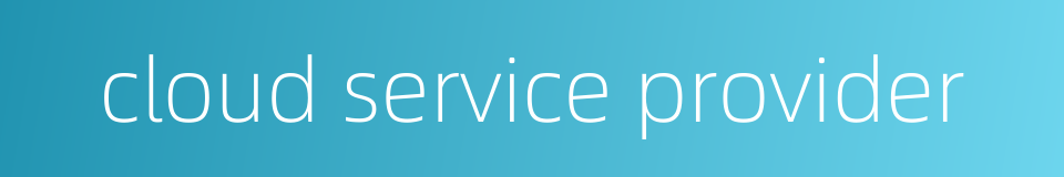 cloud service provider的同义词