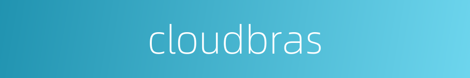 cloudbras的同义词