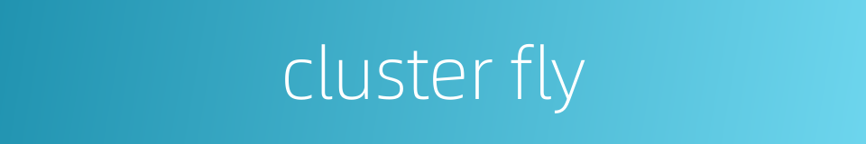 cluster fly的同义词