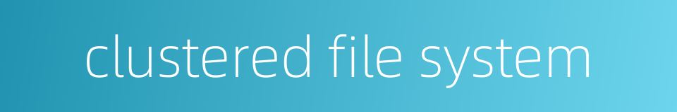 clustered file system的同义词