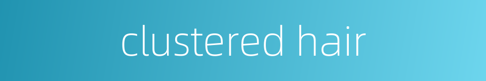 clustered hair的同义词