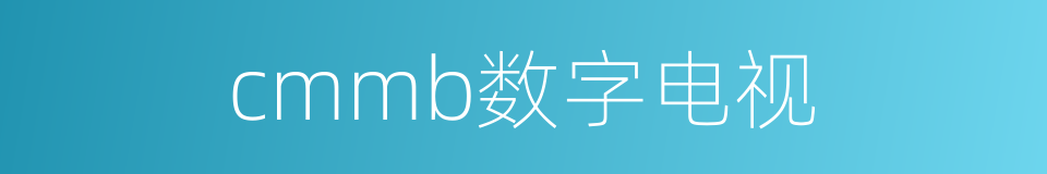 cmmb数字电视的同义词