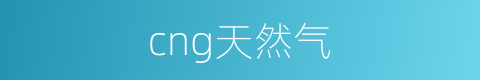 cng天然气的同义词