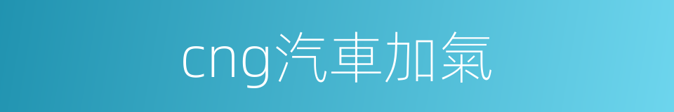 cng汽車加氣的同義詞