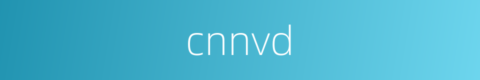cnnvd的同义词