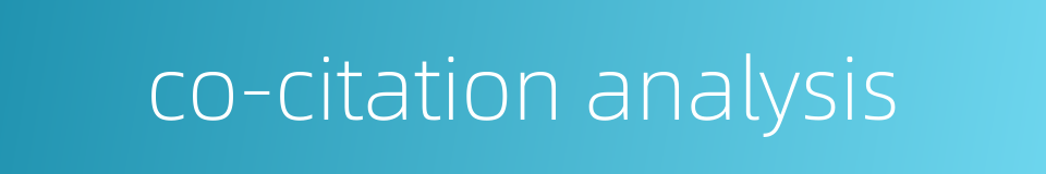 co-citation analysis的同义词