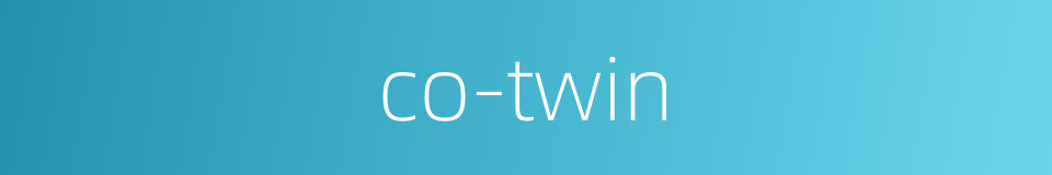 co-twin的同义词