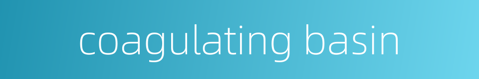 coagulating basin的同义词