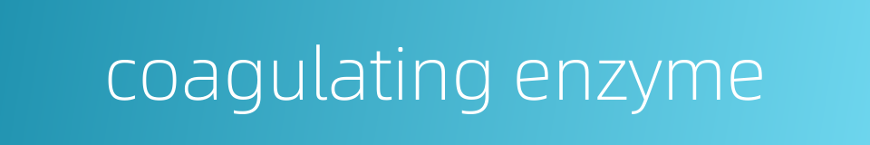 coagulating enzyme的同义词