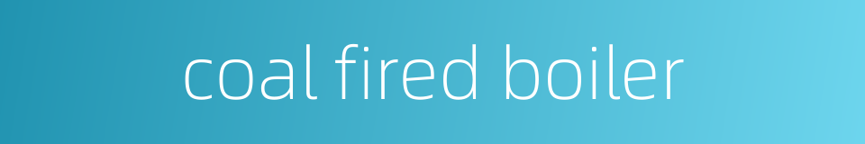 coal fired boiler的同义词