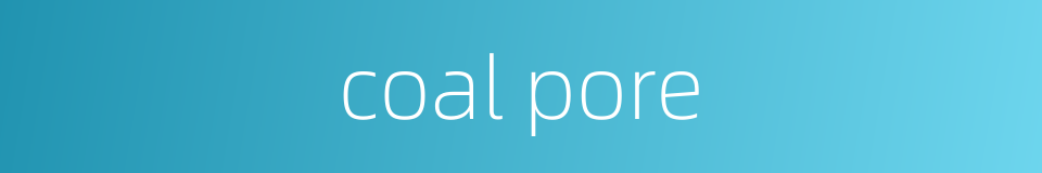coal pore的同义词