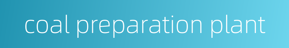 coal preparation plant的同义词