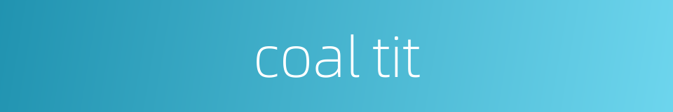 coal tit的同义词