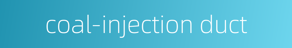 coal-injection duct的同义词