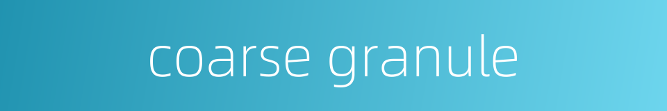 coarse granule的同义词
