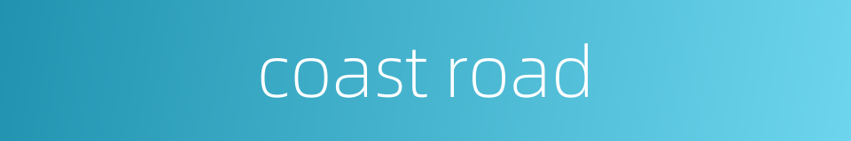 coast road的同义词