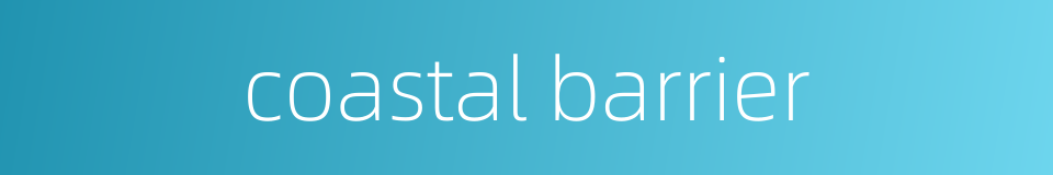 coastal barrier的同义词