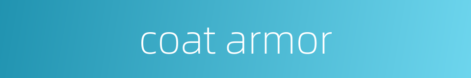 coat armor的同义词