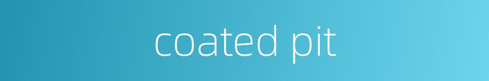 coated pit的同义词