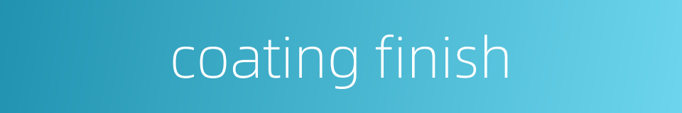 coating finish的同义词