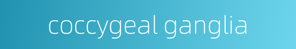 coccygeal ganglia的同义词